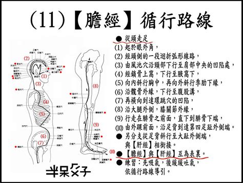 少陰意思|三、經絡命名的原由